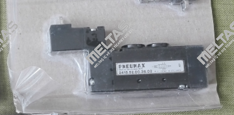 2415.52.00.36.02 Pneumax