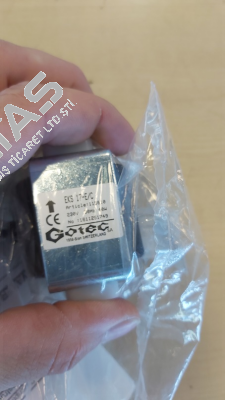 115810 Gotec