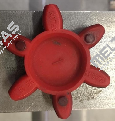 GS 19 (550191000002) Rotex