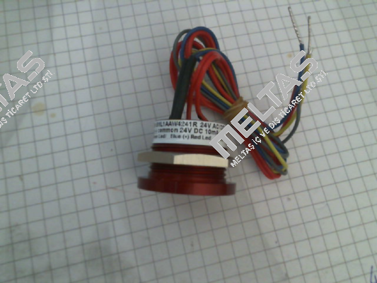 SML1AAW424R Everswitch