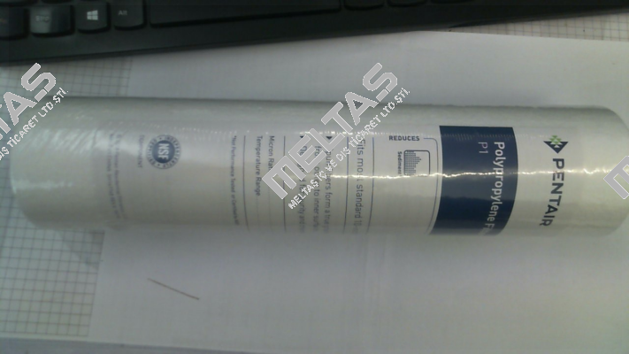 PN: 155225-43 Type: P1 9 7/8" Pentek (Pentair)