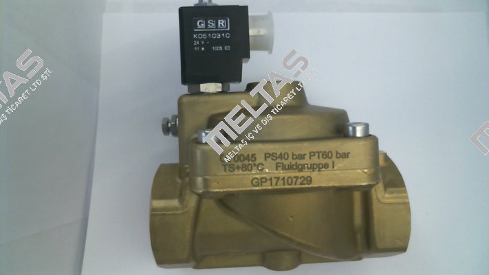 G051.000042.010.009.010 GSR