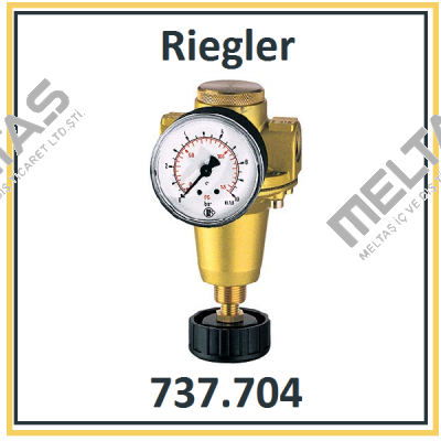 P/N: 100893 Type: 737.704 Riegler