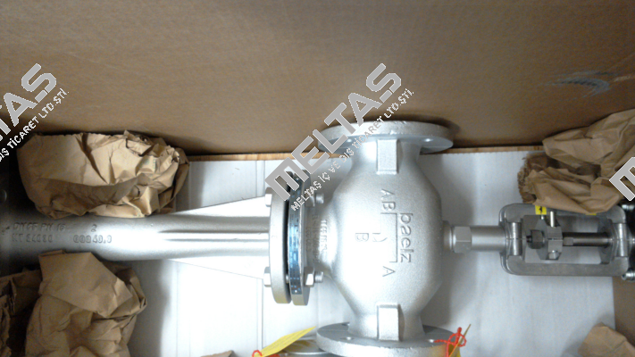 590-1-DN 65-PN Baelz