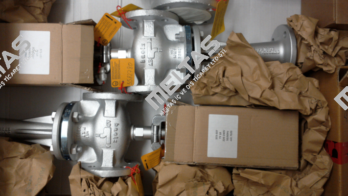 590-1-DN 40-PN 16/25 Baelz