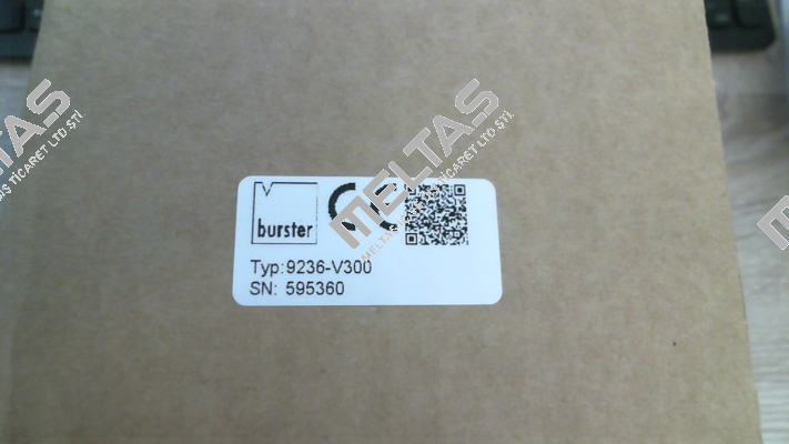 9236-V300 Burster