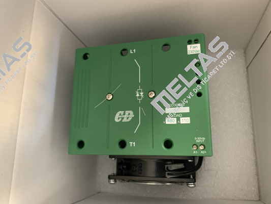 DS1110-40SZ002L20 CD AUTOMATION