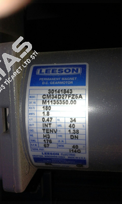 30141843 Leeson