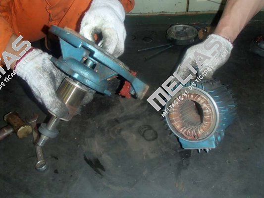 Type CS-16-T, 0,75 kW, 2800 RPM, 440V, 60Hz  Alpha Pompe