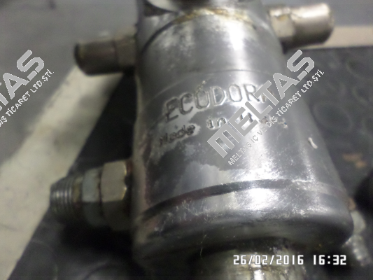 8823 Ecodora (Raasm)