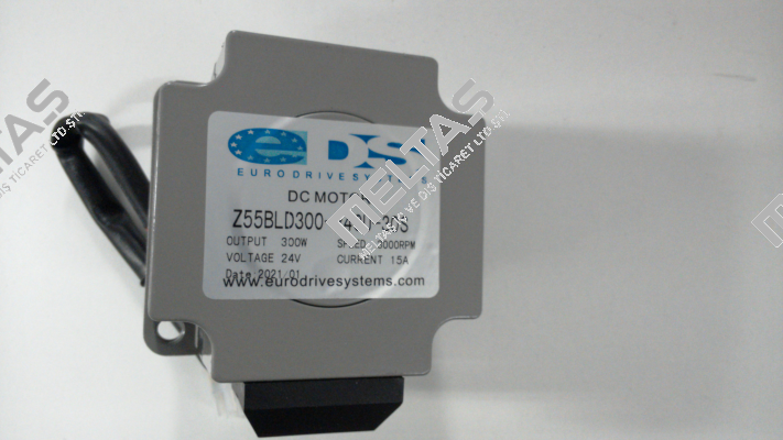 Z5BLD300 300W 24V 3000 rpm ZD-Motors
