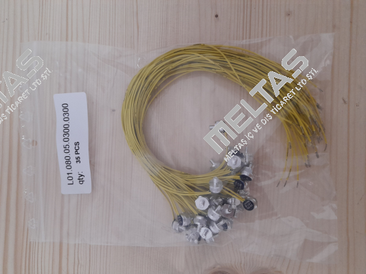 L01.080.05.0300/0300 Thermik