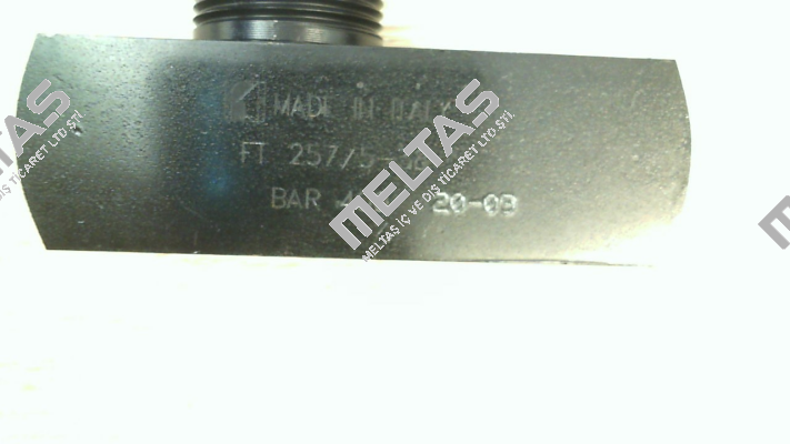 FT2575/38 Tognella