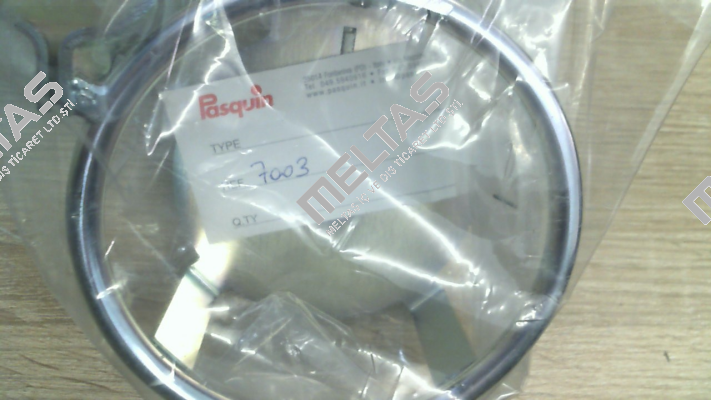 P7003 Pasquin