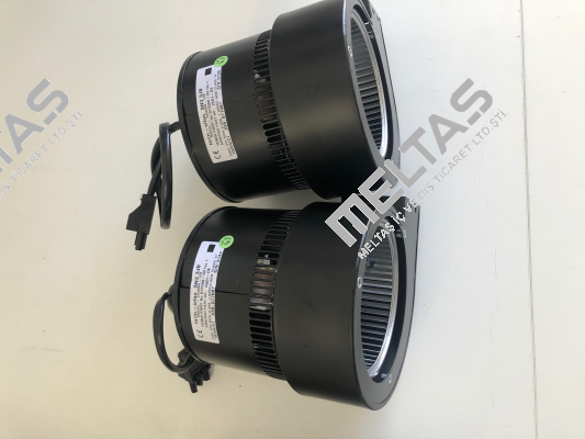 273020 Torin-Sifan