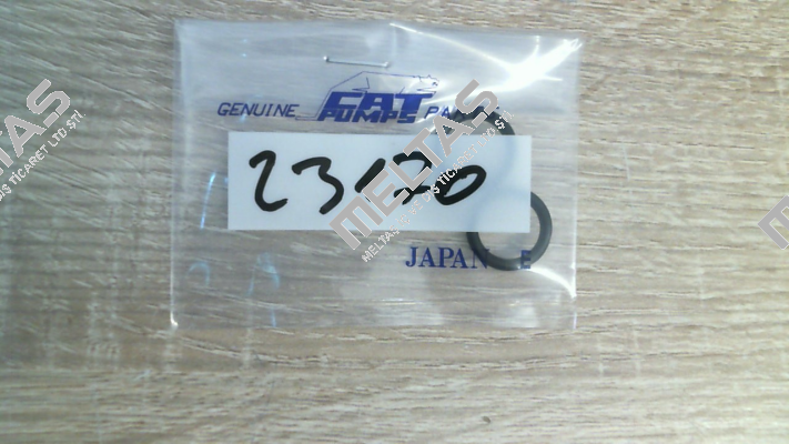 23170 Cat Pumps