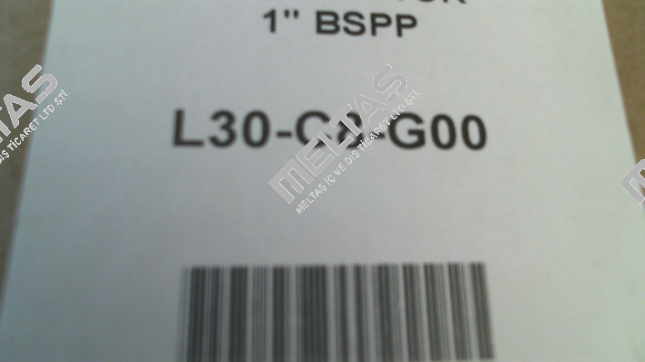 L30-C8-G00 Wilkerson