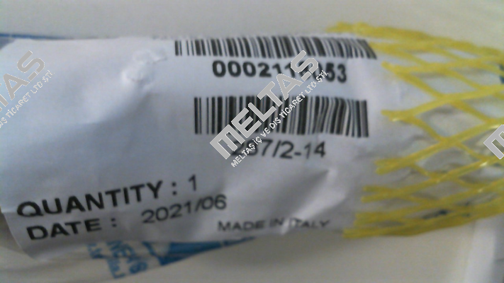 FT 287/2 14 Tognella