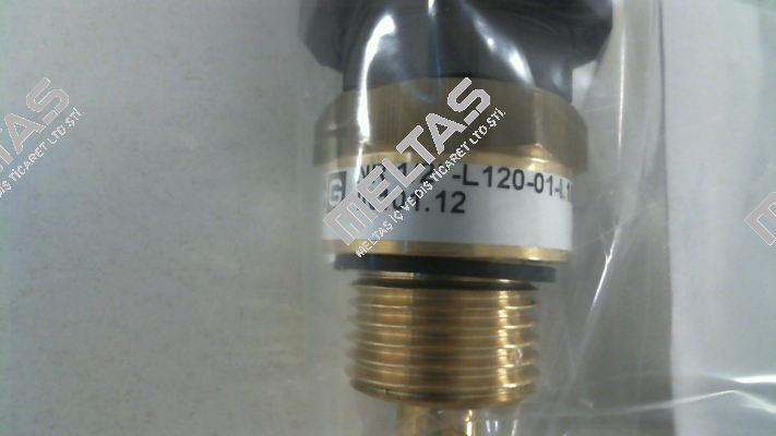 IN101.12   NR 1/2" - L120-01 Goldammer
