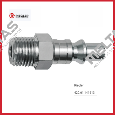141613 Type: 420.61 Riegler
