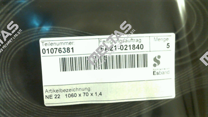01076381 Esband