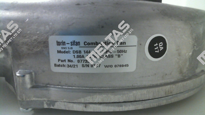 077338 (V211-A1050014) Torin-Sifan