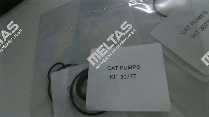 30777 Cat Pumps