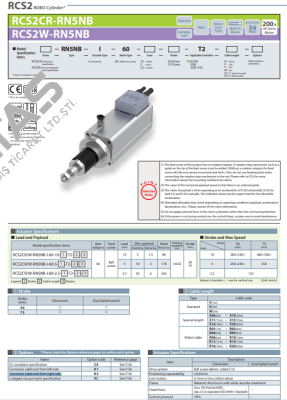 RCS2CR-RP5NB-I-60-10-50-T2-S-K3 IAI