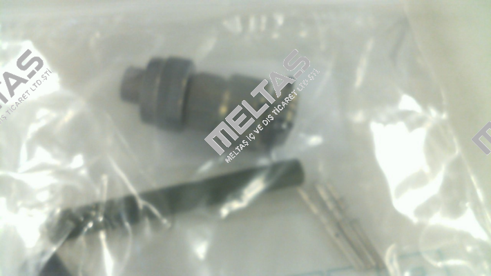 421645 Bedia