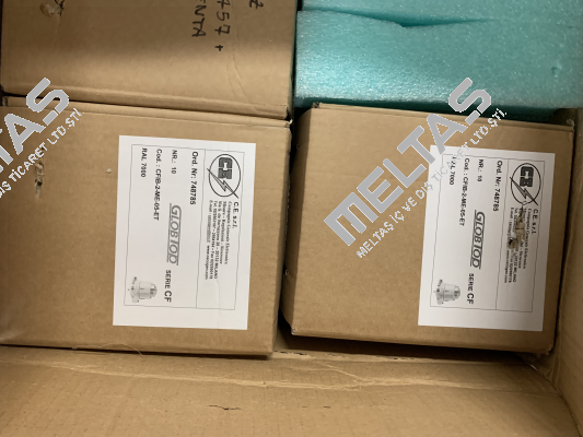 CFIB - 2 - ME - 05 - ET C.E. srl