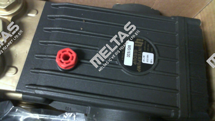 Type WS 1630 / M42001314 Interpump