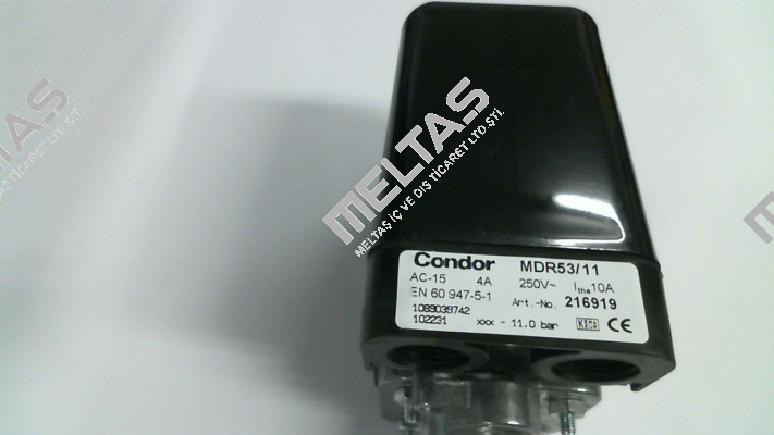 216919 Condor