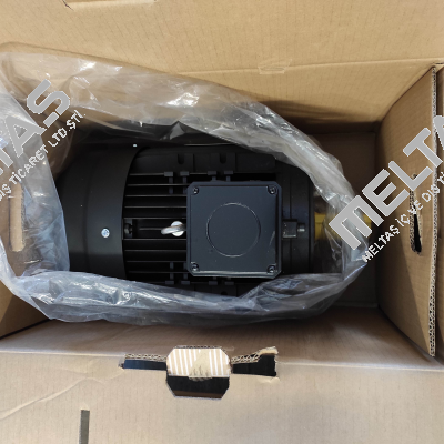 HMA3 132 S2-2  7,5  KW  IE3 Hoyer Motors