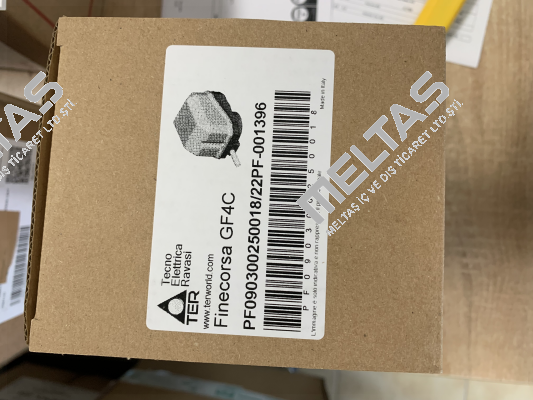 GF4C PF090300250018 Ter Tecno Elettrica Ravasi