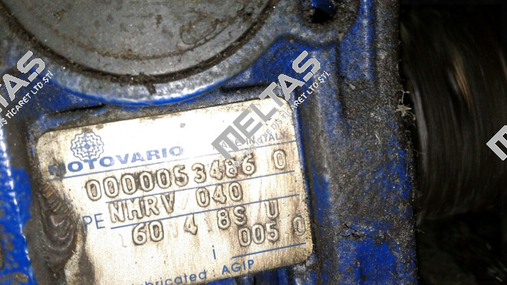4002193  Motovario