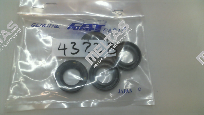 43228 Cat Pumps