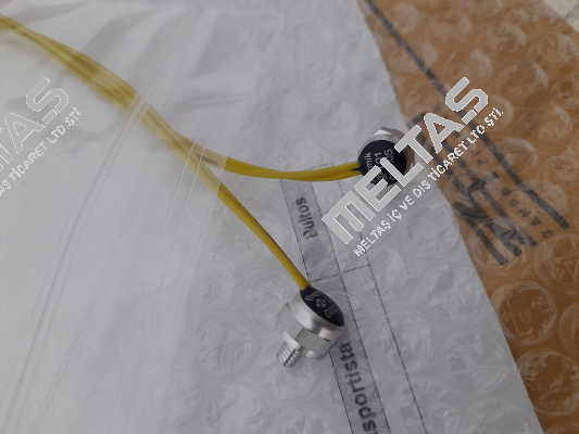 L01.080.05 Thermik