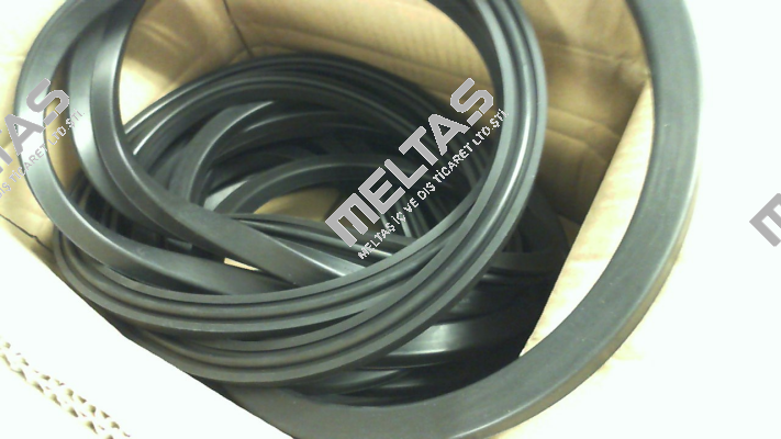 RD Gasket D471 NBR RD560 Rahmer+Jansen
