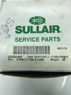 250024-890  Sullair