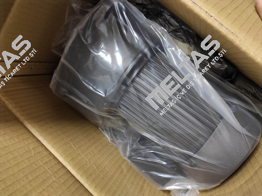G13V400S-100 Sesame Motor