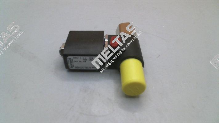 427919 Burkert