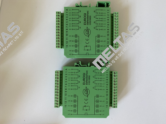 31E018052 / EMR8X1NAP/24C Eurogi