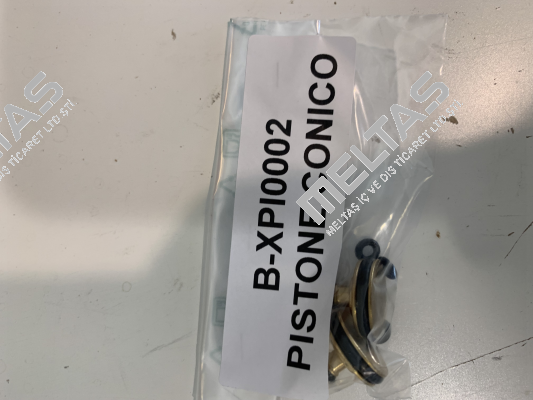 B-XPI0002 Balossi