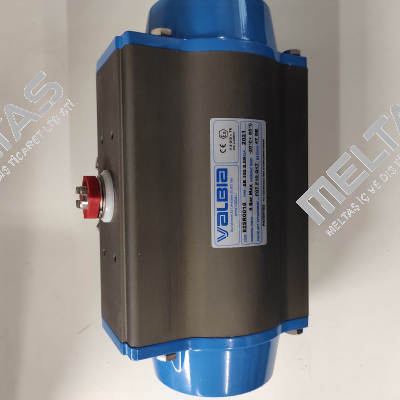 SR100 (82SR0018) Valbia