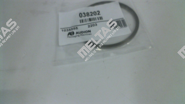 038202 AUDION