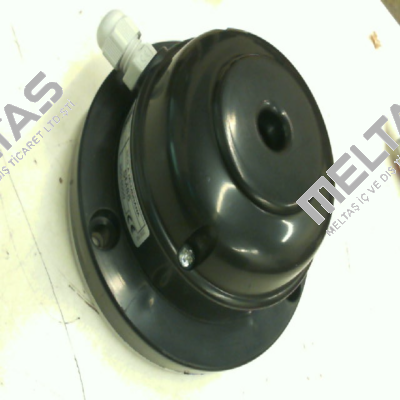 SM85 Fiama