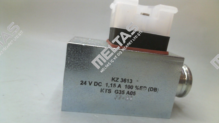 KZ3613 Hoerbiger