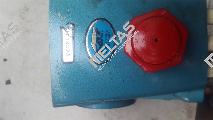 108062  Cat Pumps