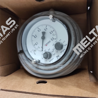 DS21010A21B50W00 Fischer
