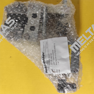DH012FEM-450R-12 Ringspann